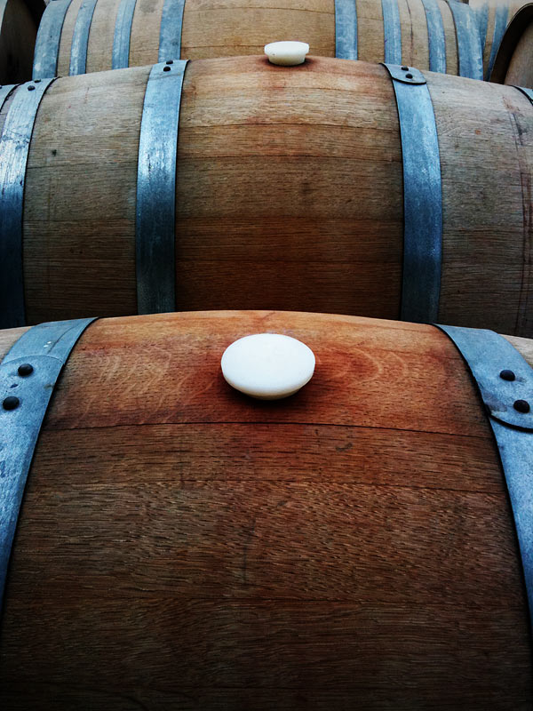 Wine Barrels